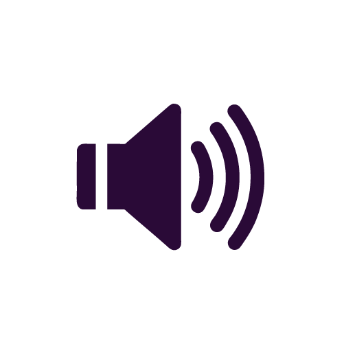 OnePlus 8 Pro Loudspeaker