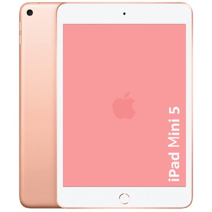 iPad Mini 5 Repair Reset